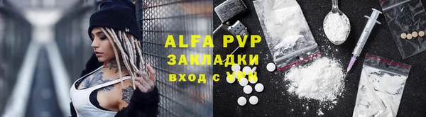 мескалин Богданович
