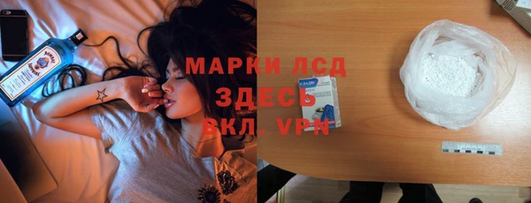 спиды Богородицк