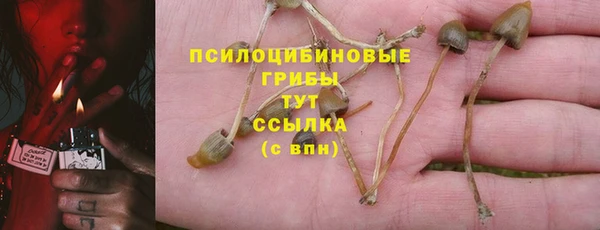 мескалин Богданович