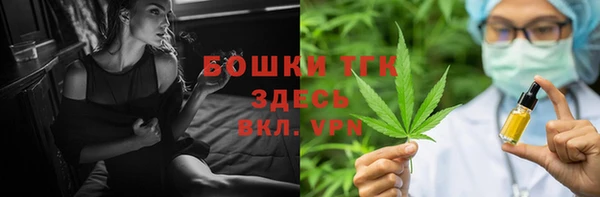 спиды Богородицк