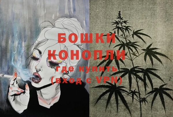 спиды Богородицк