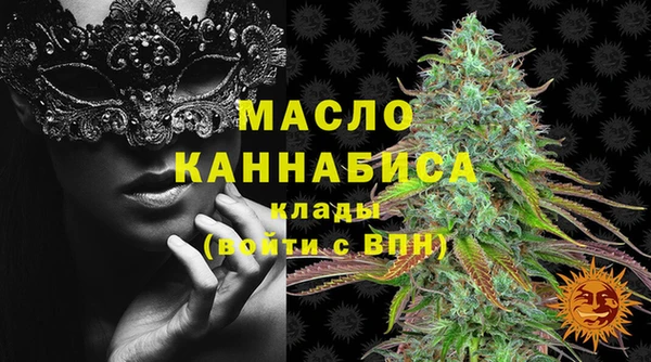 спиды Богородицк