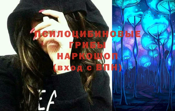 спиды Богородицк